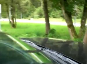 У обочины остановились и занялись сексом